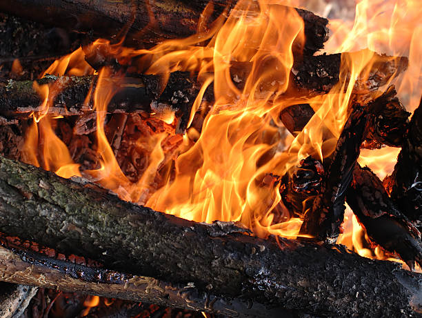 Wood burning in fire stock photo