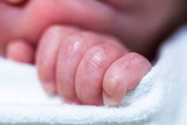 istock Hand of a premature baby 913217312