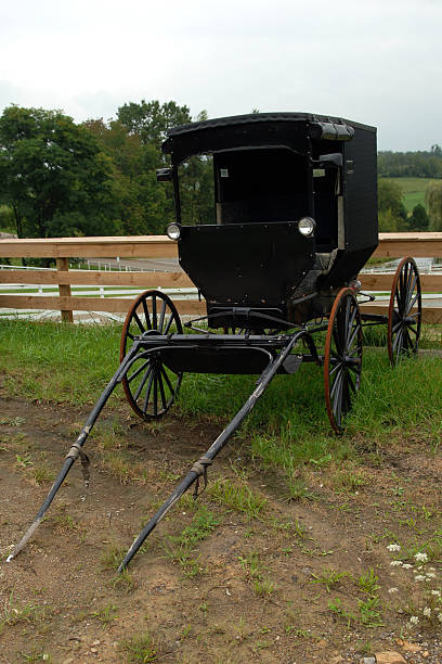 A Black Amish Carriage Sitting in a Grassy Field  lancaster texas stock pictures, royalty-free photos & images