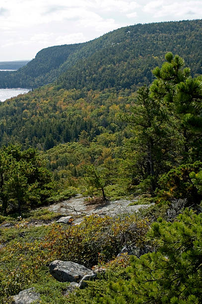 istock Somes Sound from Acadia Mtn 91322280