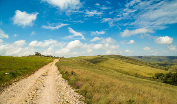 istock National park brazil serra da canastra 913223468