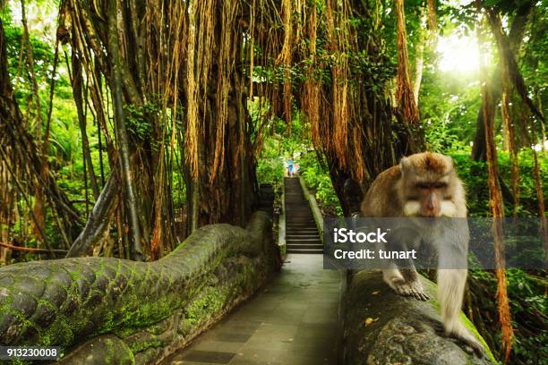 Dragon Bridge In Monkey Forest Ubud Bali Indonesia Stock Photo - Download Image Now