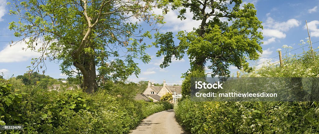 Gateway Tree Tree Gateway Stock Photo - Download Image Now - Branch - Plant Part ...