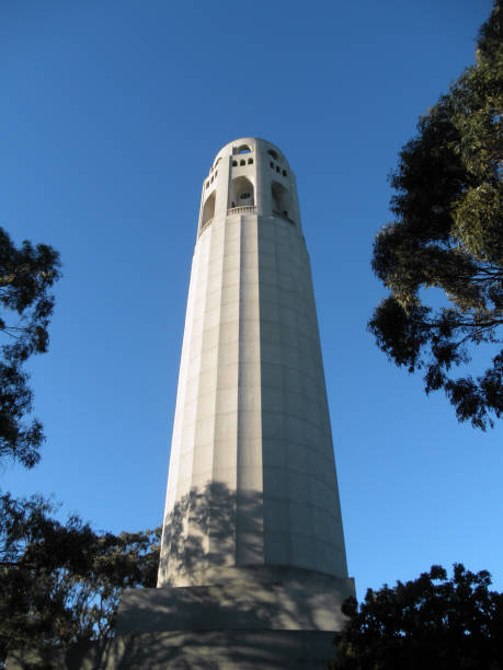 istock Coit Tower and surrouinding trees in San Francisco 913240342