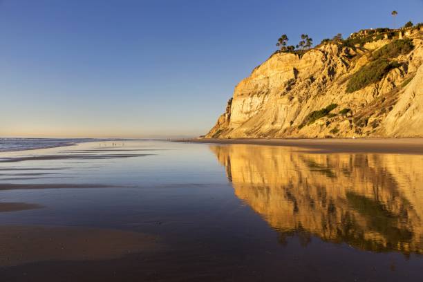 istock Eroded Sandstone Cliffs Reflected on Torrey Pines State Beach La Jolla San Diego California 913245768