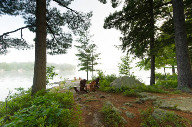 istock Adirondack chairs on a foggy morning 913246016