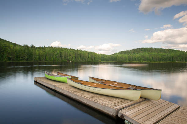 istock Canoes on a wooden dock facing a calm lake 913246176
