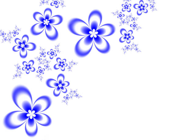 blank with images of jeans flowers in blue and yellow color isolated on the white background