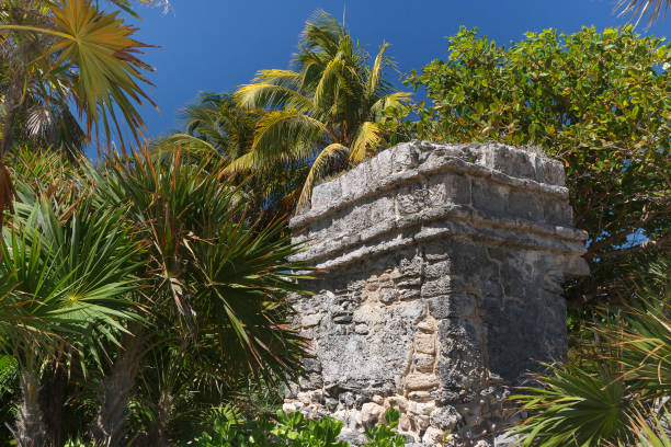 руины древнего города майя xcaret, мексика - archeologie стоковые фото и изображения