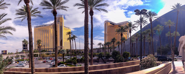 Mandalay Bay and THEhotel resort and casino hotels panorama. In 2014 THEhotel was rebranded as the Delano Las Vegas. Las Vegas: Mandalay Bay and THEhotel resort and casino hotels panorama in Las Vegas on June 11, 2013. In 2014 THEhotel was rebranded as the Delano Las Vegas. las vegas metropolitan area luxor luxor hotel pyramid stock pictures, royalty-free photos & images