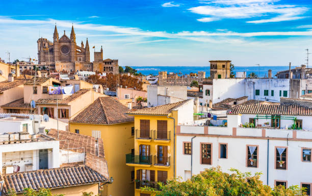 palma de mallorca, katedral manzaralı tarihi şehir merkezi - palma majorca stok fotoğraflar ve resimler