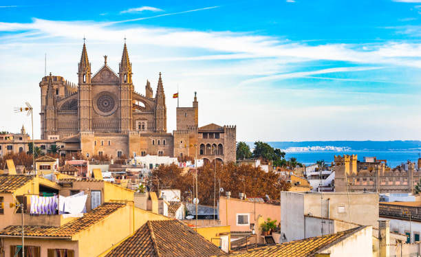 istock Beautiful view of Palma de Majorca with Cathedral 913260540