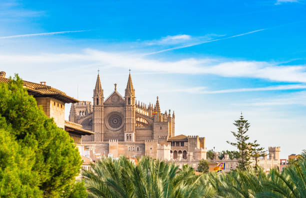 i̇spanya palma de mallorca cathedral la seu - palma majorca stok fotoğraflar ve resimler