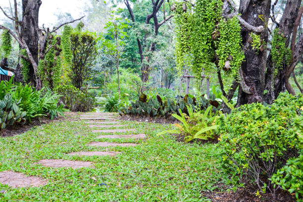 istock Chatuchak Park, a place to relax and exercise. 913263982