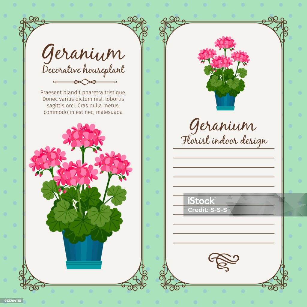 Geraniums Labels Vintage Label With Geranium Plant Stock Illustration - Download Image ...