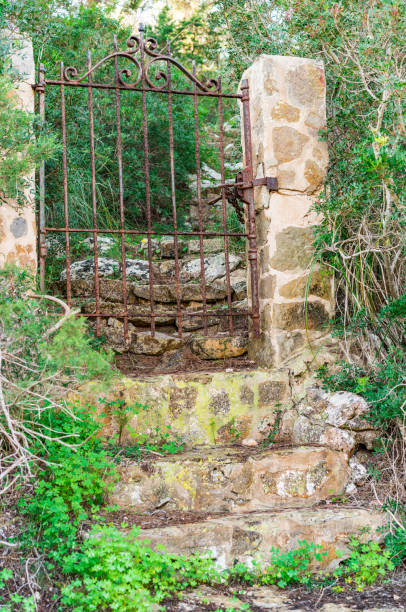 istock Romantic secret garden door 913268632