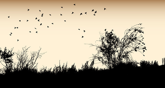 Sepia colored illustration with a landscape of nature, just a field with birds flying overhead