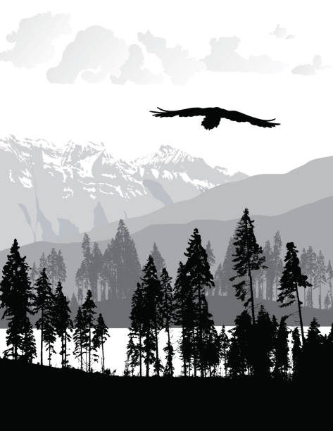 터치하지 않은 야생지대 - mountain mountain range rocky mountains silhouette stock illustrations