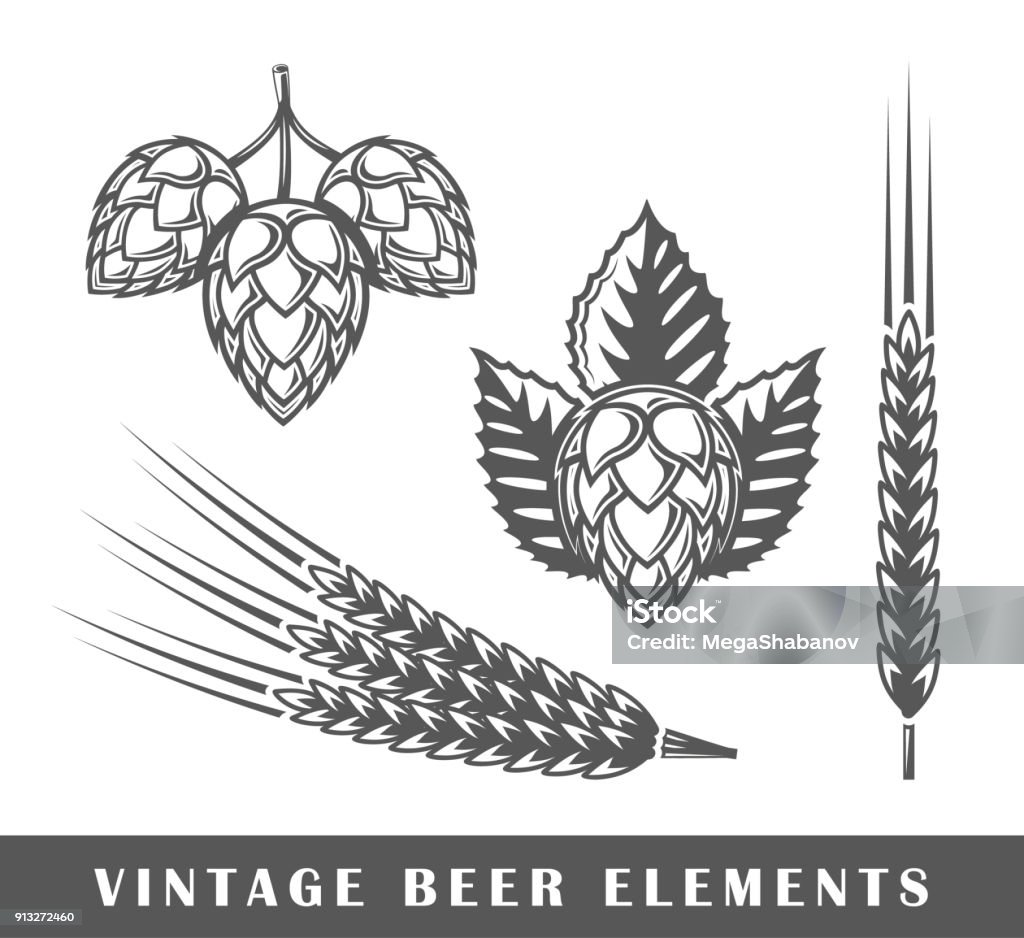Vintage beer elements - Royalty-free Lúpulo arte vetorial