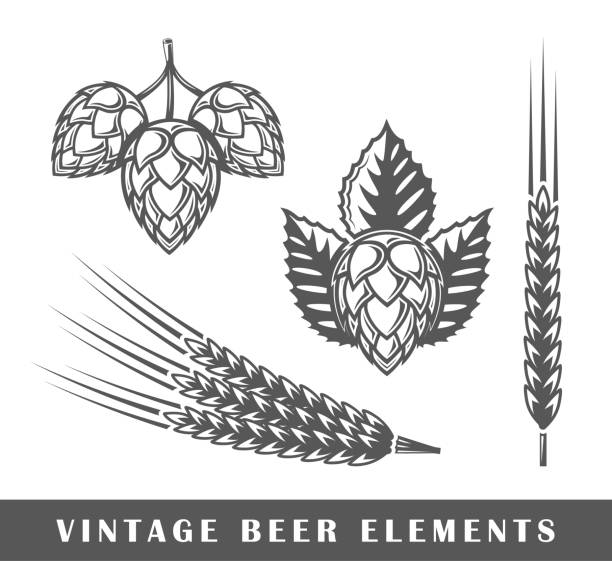 ilustrações de stock, clip art, desenhos animados e ícones de vintage beer elements - cevada