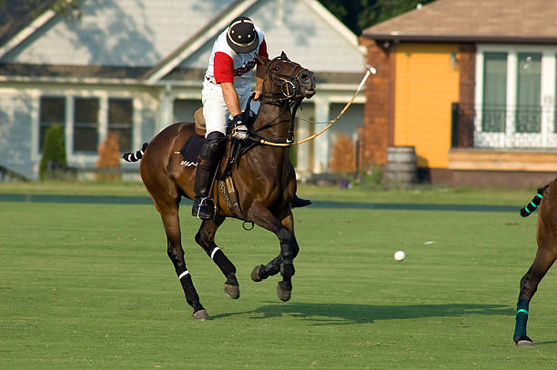 istock The unseen of polo 91327326