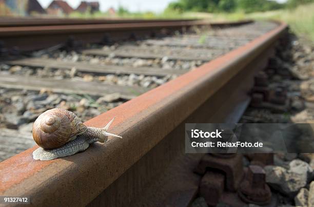 Photo libre de droit de Escargot Sur Voie Ferrée Xl banque d'images et plus d'images libres de droit de Escargot - Escargot, Voie ferrée, Contraste