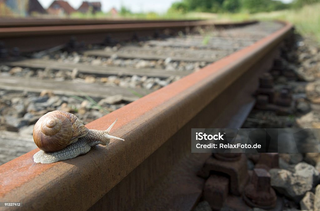 Snail on railway track (XL) Snail (helix pomatia) crawling on railway tracks looking for possibility to get down. Maybe useful as a symbol for humor, different speed and conflicts. Railroad Track Stock Photo