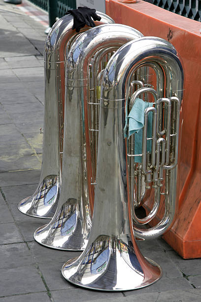 Three Instruments Stanchan 110+ Bassist 3 Stock Photos, Pictures & Royalty-Free Images - iStock