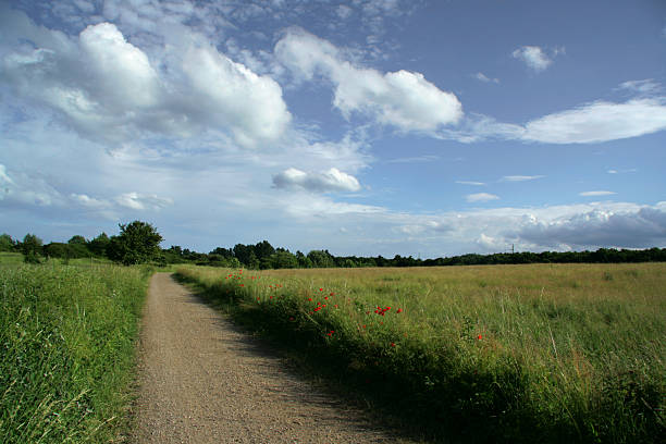 Countryside landscape