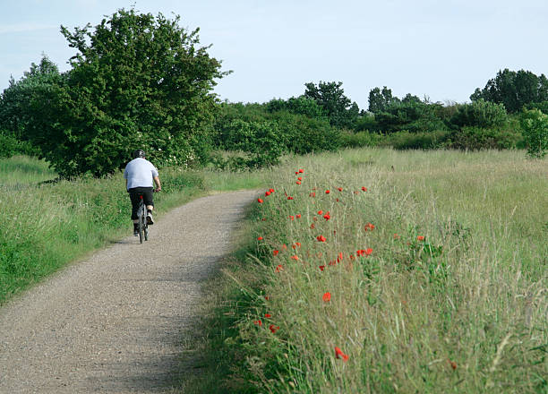 istock Man riding his bike in a park, Denmark 91327728