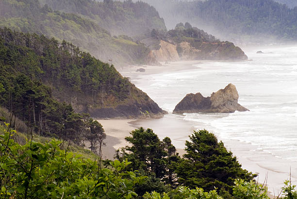 Costa de Oregon - fotografia de stock