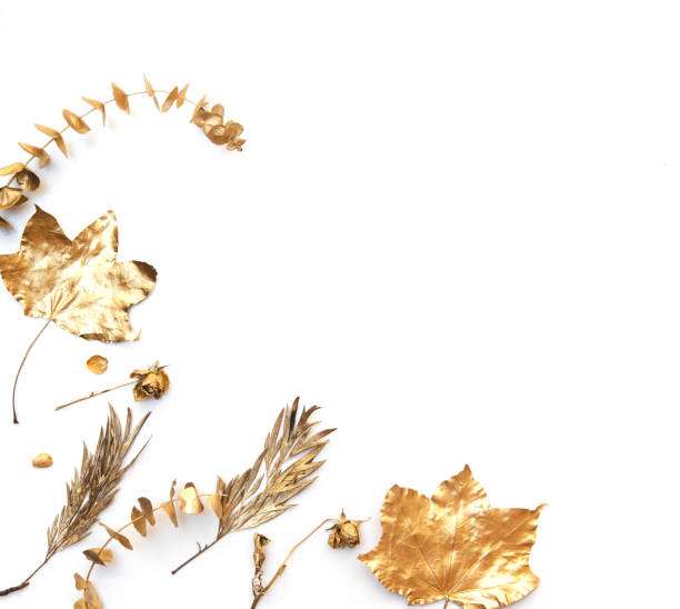 istock Gold autumn falling leaves, isolated on white background. 913280092