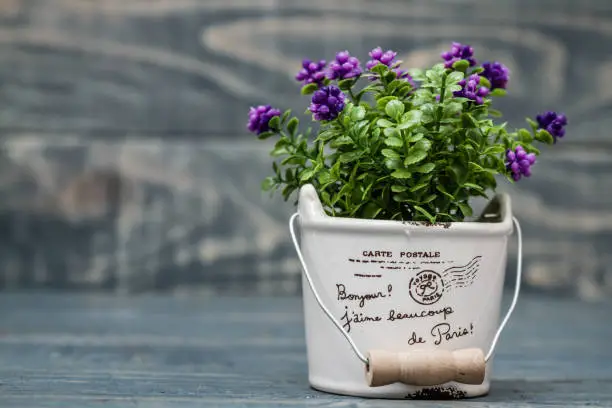 Artificial purple flower in a flowerpot on blue wooden background