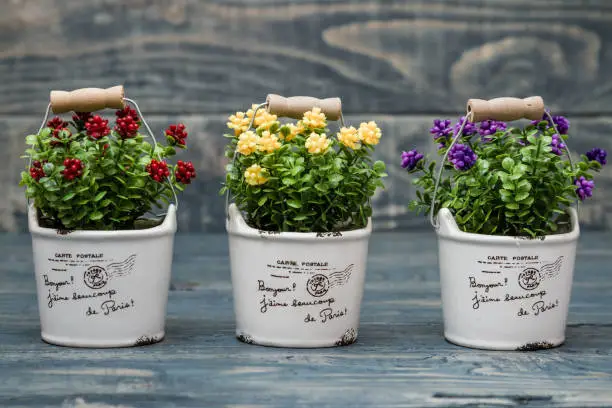 Artificial yellow, purple and red flowers in a flowerpot on blue wooden background
