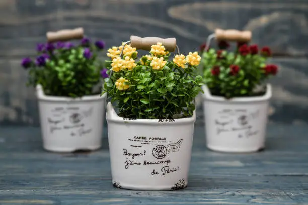 Artificial yellow, purple and red flowers in a flowerpot on blue wooden background