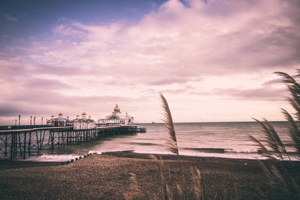 Looking out along the beach next to Eastbourne Pier