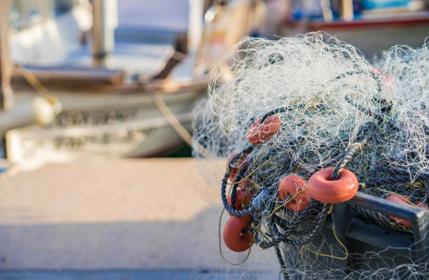istock Fishing net at the pier 913283856