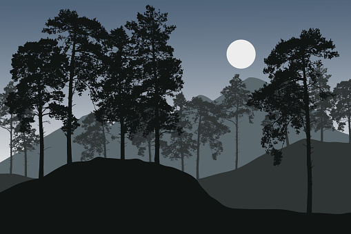 Vector illustration of pine forest in mountain landscape with rising sun or moon