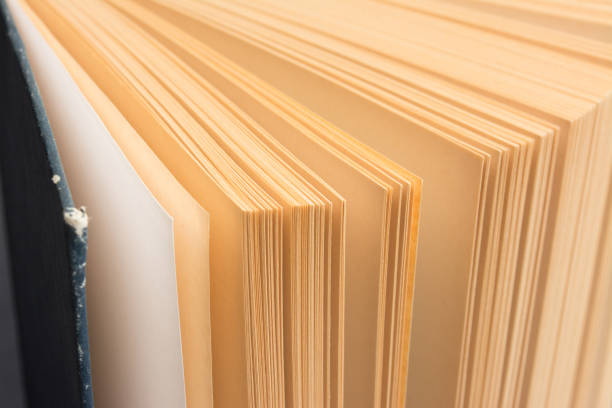 istock Vintage old open book on black background 913286014