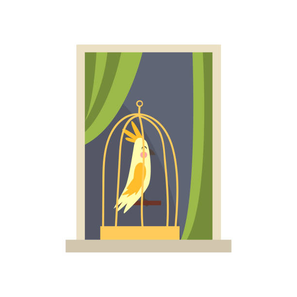 istock Metal cage with yellow tropical bird on windowsill. View on apartment window from street. Cartoon domestic animal. Exterior detail element. Flat vector design 913287794
