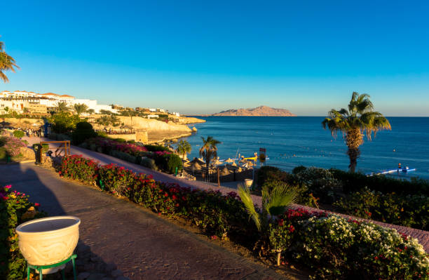 istock Sea view. Rest on the Red Sea coast in Egypt 913287798