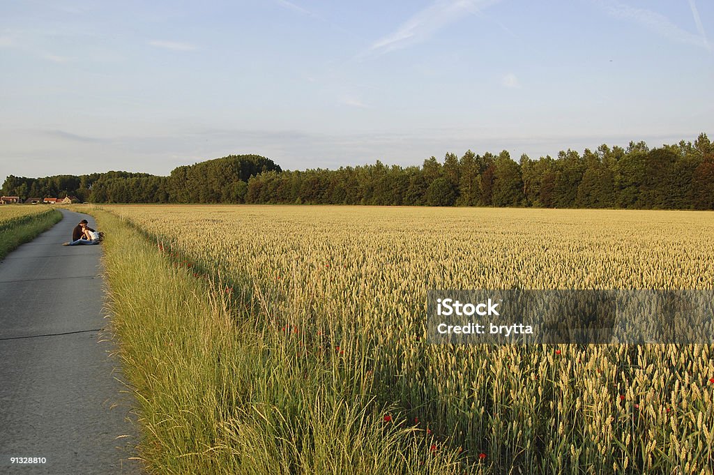 Farmland - Photo de Agriculture libre de droits