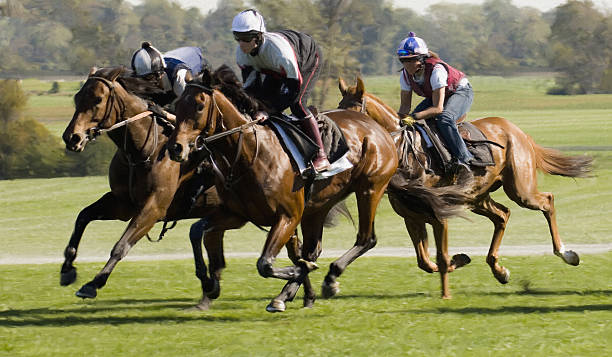 Horse Race (digital painting)  three animals photos stock pictures, royalty-free photos & images