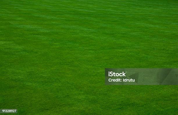 Putting Green Gras Stockfoto und mehr Bilder von Bildhintergrund - Bildhintergrund, Farbbild, Feld