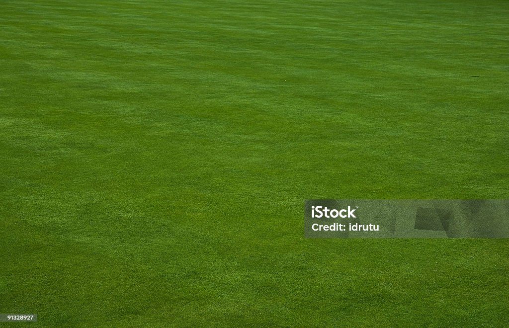 Putting green grass - Foto de stock de Ajardinado libre de derechos