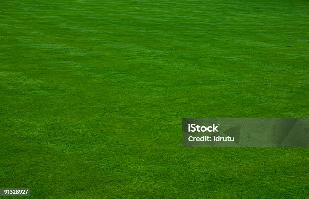 Putting Green Relva - Fotografias de stock e mais imagens de Ajardinado - Ajardinado, Atirar à Baliza, Bola Fora