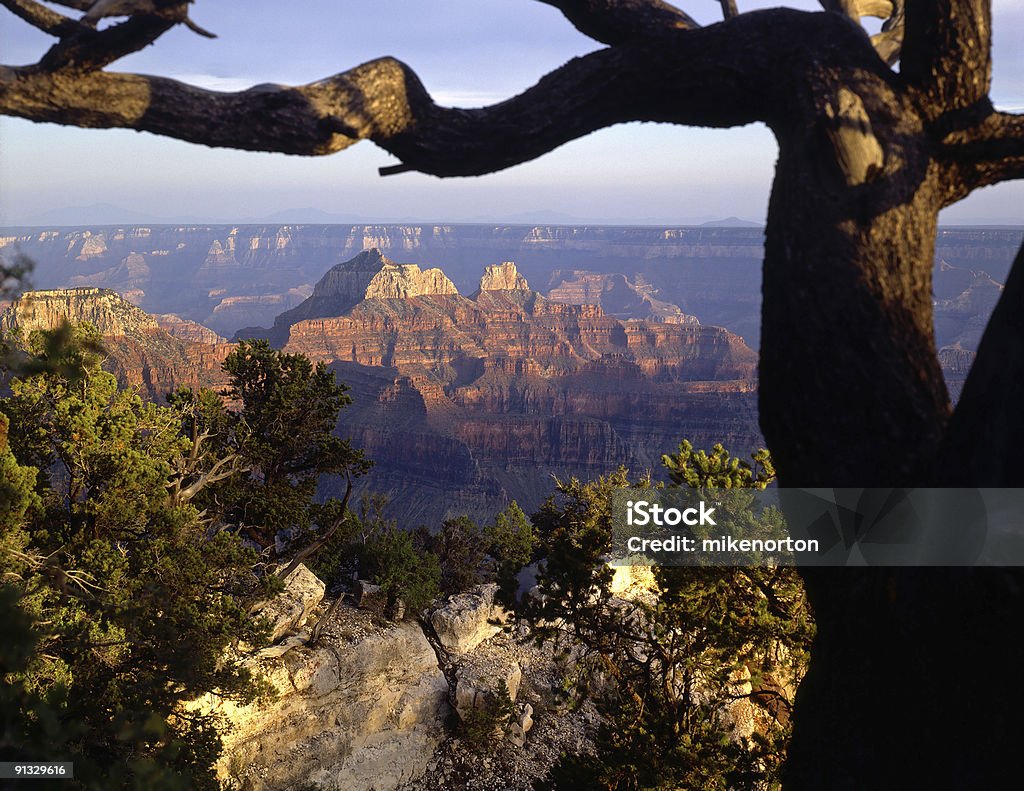 GrandCanyonNorthRim 1 - Horizonのロイヤリティフリーストックフォト