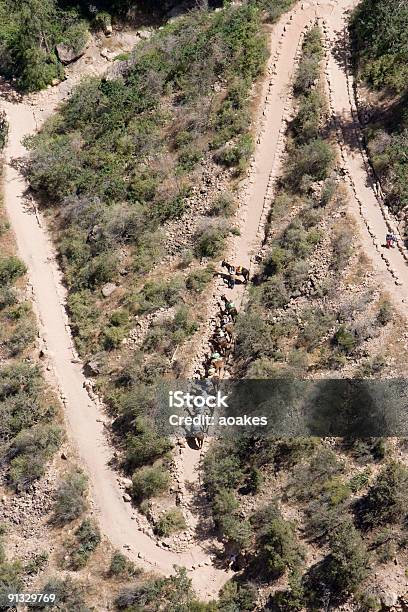 Foto de Visão Geral De Mule Trail e mais fotos de stock de Arizona - Arizona, Calor, Desfiladeiro