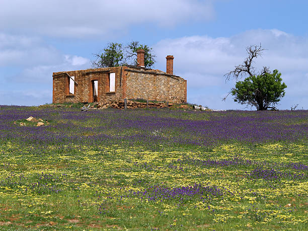 Farmhouse Ruin stock photo