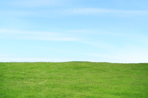 Natural landscape, green grass field and blue sky background